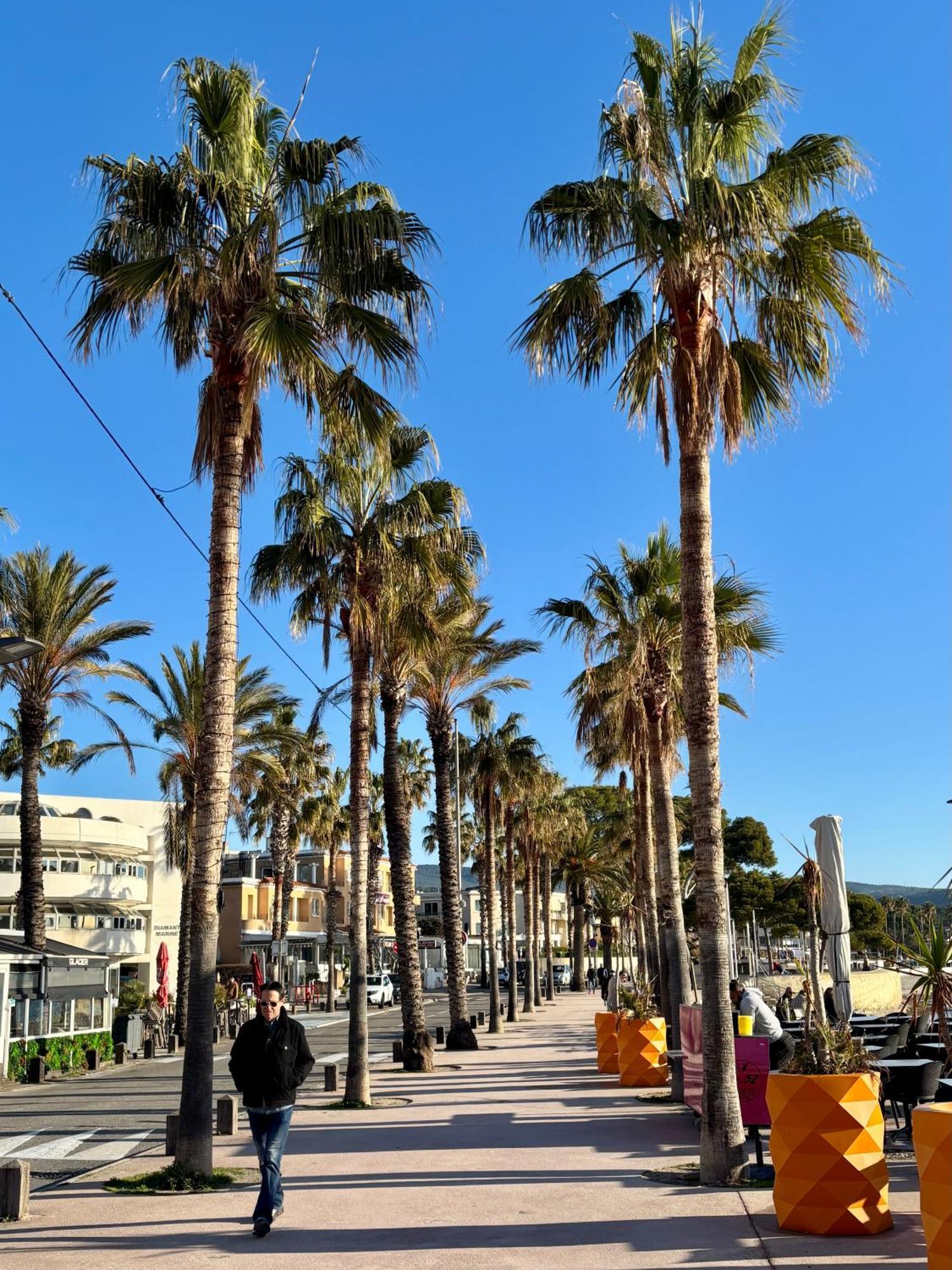 לה קיוטאט Lavande Centre Ancien Port Plages By Laconciergerie13 מראה חיצוני תמונה
